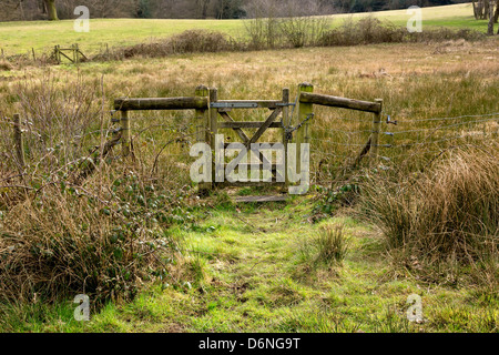 Altes rustikale Tor im grünen Rasen am sonnigen Tag geschlossen Stockfoto