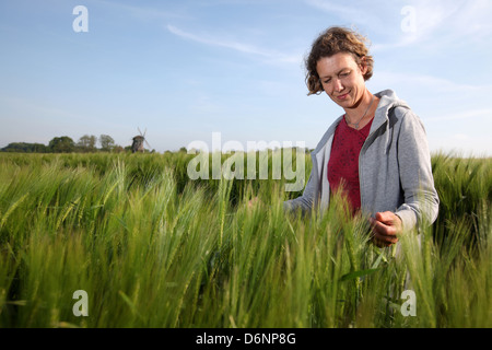 Wangels, Deutschland, Frau schaut Wintergerste auf ein Getreidefeld Stockfoto