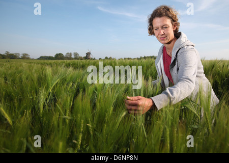 Wangels, Deutschland, Frau schaut Wintergerste auf ein Getreidefeld Stockfoto