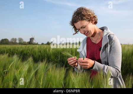 Wangels, Deutschland, Frau schaut Wintergerste auf ein Getreidefeld Stockfoto