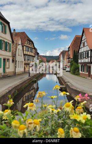 Wissembourg, Frankreich, Fachwerkhaeuser und den Fluss Lauter in Wissembourg Stockfoto