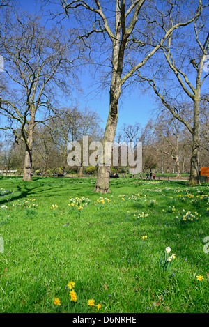 Hyde Park im Frühjahr, City of Westminster, London, Greater London, England, Vereinigtes Königreich Stockfoto