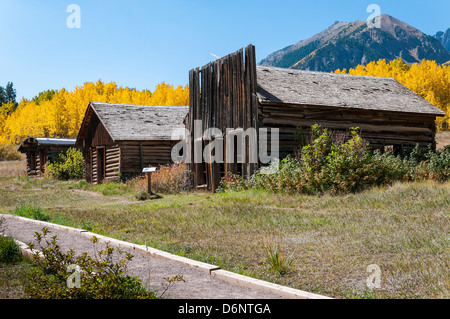 Gebäuden umgeben von Herbstlaub, Ashcroft Geisterstadt, Pitkin County in der Nähe von Aspen, Colorado. Stockfoto