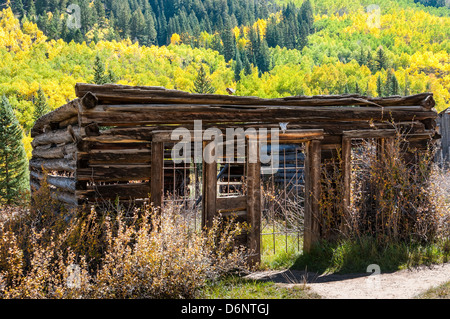 Gebäuden umgeben von Herbstlaub, Ashcroft Geisterstadt, Pitkin County in der Nähe von Aspen, Colorado. Stockfoto