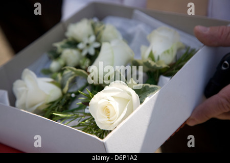 Hochzeit Knopflöcher für Bräutigam, Platzanweiser und beste Mann; frische weiße Rosen und Laub in einer weissen box Stockfoto