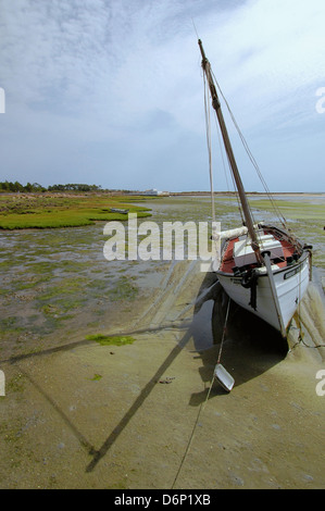 Ein Boot sitzt in einem Ebbe an der Küste von Quinta de Marim Dorf im Parque Natural da Ria Formosa eine natürliche Marine Park der Rio Formosa in der Nähe von Olhao in Algarve, die südlichste Region Portugals Stockfoto