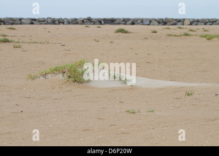 Erosion: Sand Anker Stockfoto