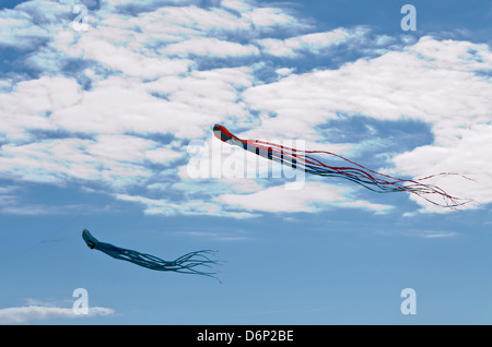 Zwei Drachen fliegen an einem Sommertag Stockfoto