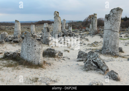 Felsformation in der 50 Millionen Jahre alten Steinwald (Pobiti Kamani), geschützte Nationaldenkmal in Varna Provinz, Bulgarien Stockfoto