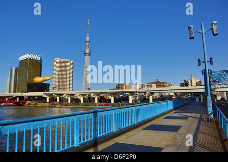 Überblick über die Skyline der Stadt von Asakusa mit der Tokyo Skytree Tower und der Asahi Bier Hauptquartier und gold Flamme Gebäude Stockfoto