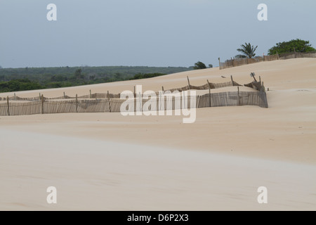 Erosion: Zaun Schutz Stockfoto