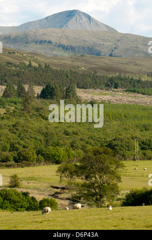 Glamaig in den Cullins rot, gesehen vom in der Nähe von Portree, Isle Of Skye, Schottland, UK Stockfoto