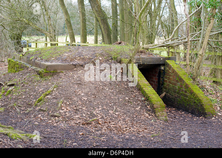 Einen militärischen Bunker Bunker versteckt im Unterholz auf Reigate Hill in Surrey Stockfoto