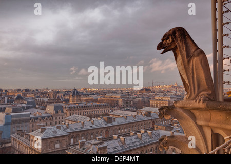 Ein Wasserspeier an der Kathedrale Notre Dame de Paris sieht über die Stadt, Paris, Frankreich, Europa Stockfoto