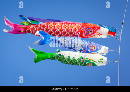 Bunte Karpfen Streamer oder Koinobori flattern im Wind. Stockfoto