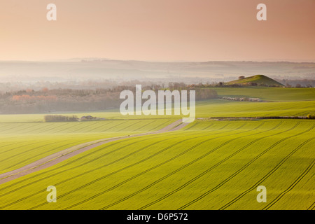 Vale of Pewsey am ersten Licht, Wiltshire, England, Vereinigtes Königreich, Europa Stockfoto