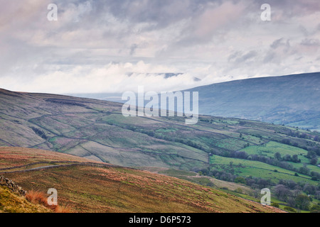 Die sanften Hügel der Yorkshire Dales National Park in der Nähe von Dentdale, Yorkshire, England, Vereinigtes Königreich, Europa Stockfoto