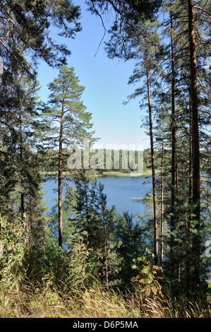 Blick auf Laukanlahti, ein Zweig der Saimaa-See durch Föhren (Pinus Sylvestris), betrachtet Punkaharju, Finnland Stockfoto