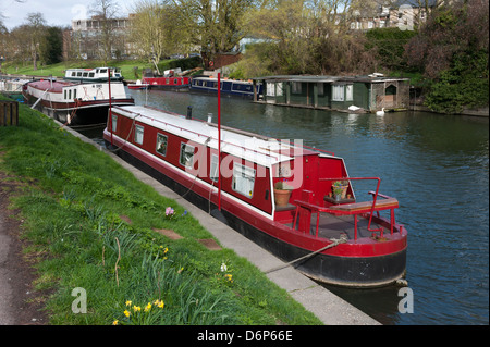 Eine rote Narrowboat vertäut am Fluss Cam Cambridge UK mit anderen Hausbooten festgemacht im Hintergrund. Stockfoto
