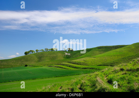 Cherhill White Horse, schneiden Sie zunächst in Kreide Downland 1780, Wiltshire, England, Vereinigtes Königreich, Europa Stockfoto