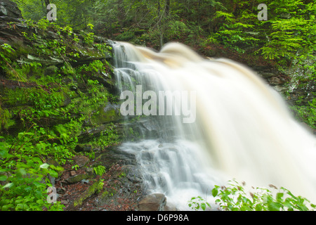 FRÜHLING TORRENT ERIE WASSERFÄLLE KÜCHE CREEK RICKETTS GLEN STATE PARK LUZERNE COUNTY PENNSYLVANIA USA Stockfoto