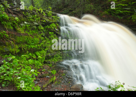 FRÜHLING TORRENT ERIE WASSERFÄLLE KÜCHE CREEK RICKETTS GLEN STATE PARK LUZERNE COUNTY PENNSYLVANIA USA Stockfoto