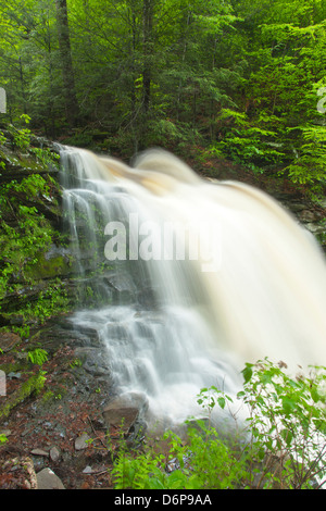 FRÜHLING TORRENT ERIE WASSERFÄLLE KÜCHE CREEK RICKETTS GLEN STATE PARK LUZERNE COUNTY PENNSYLVANIA USA Stockfoto