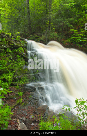 FRÜHLING TORRENT ERIE WASSERFÄLLE KÜCHE CREEK RICKETTS GLEN STATE PARK LUZERNE COUNTY PENNSYLVANIA USA Stockfoto