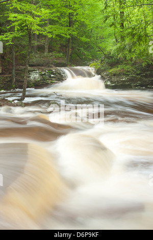 FRÜHLING TORRENT KÜCHE CREEK RICKETTS GLEN STATE PARK LUZERNE COUNTY PENNSYLVANIA USA Stockfoto