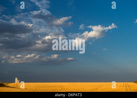 Getreidesilo über einem goldenen Weizenfeld mit einem blauen Himmel bei Sonnenuntergang, Kansas, USA. Stockfoto