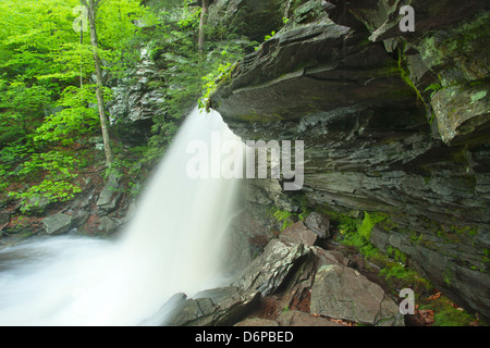 FRÜHLING TORRENT B REYNOLDS WASSERFALL KÜCHE CREEK RICKETTS GLEN STATE PARK LUZERNE COUNTY PENNSYLVANIA USA Stockfoto