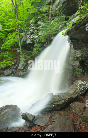 FRÜHLING TORRENT B REYNOLDS WASSERFALL KÜCHE CREEK RICKETTS GLEN STATE PARK LUZERNE COUNTY PENNSYLVANIA USA Stockfoto