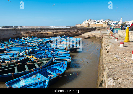 Blaue Angelboote/Fischerboote in Essaouira Hafen, früher Mogador, Marokko, Nordafrika, Afrika Stockfoto