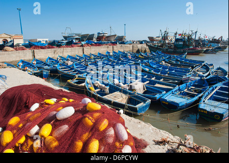 Blaue Angelboote/Fischerboote in Essaouira Hafen, früher Mogador, Marokko, Nordafrika, Afrika Stockfoto