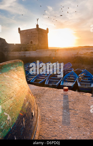 Blaue Angelboote/Fischerboote in Essaouira Hafen, früher Mogador, Marokko, Nordafrika, Afrika Stockfoto