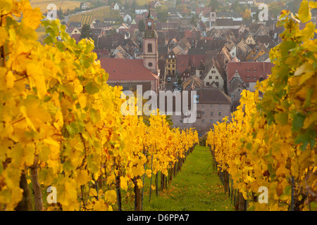 Ansicht von Riquewihr und Weinberge im Herbst, Riquewihr, Elsass, Frankreich, Europa Stockfoto