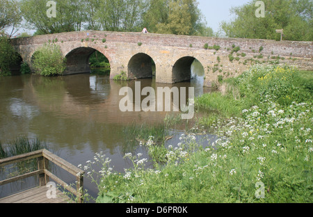 mittelalterliche Brücke Fluss Avon Bilovec Worcestershire England UK Stockfoto