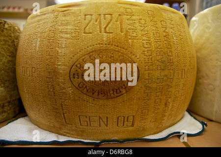 Ein Rad des Parmigiano Reggiano-Käse. Stockfoto