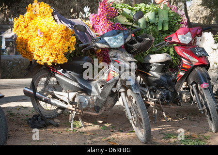 Blumen auf einem Motorrad auf einem Blumenmarkt, Mandalay, Myanmar (Burma) Stockfoto