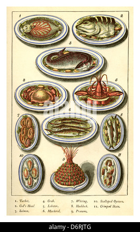 Warne Modell Kochen und Hauswirtschaft Buch 1888 zur Veranschaulichung verschiedener exotischer viktorianischen Fischgerichte Stockfoto