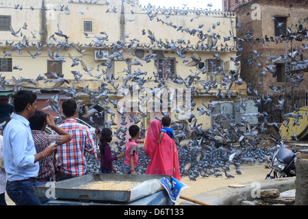 Lokalen Indianer werfen Vogelfutter Tauben in der rosa Stadt Jaipur. Stockfoto