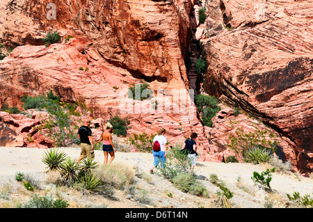 Wanderer im Bereich Calico Hills des Red Rock Canyon Stockfoto