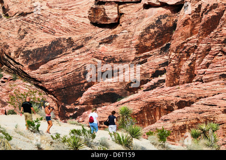 Wanderer im Bereich Calico Hills des Red Rock Canyon Stockfoto