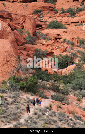 Wanderer im Bereich Calico Hills des Red Rock Canyon Stockfoto