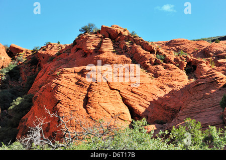 Roten Felsformation am Snow Canyon State Park zeigt erodierten, emporgehoben Sedimentgestein mit Brüchen und Verwerfungen Stockfoto