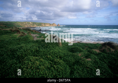 Australien, Victoria, Cape Woolamai auf Phillip Island, Seelandschaft vom Hügel oben Weg. Stockfoto