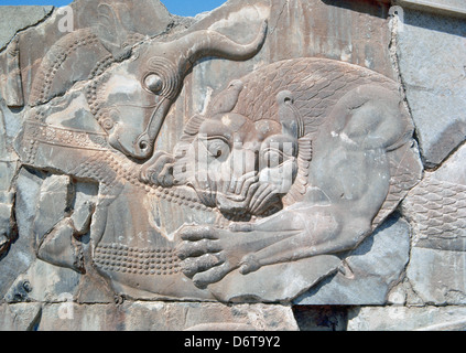 Persepolis. Achaemenid Periode. Apadana Palast. Löwe und Stier zu bekämpfen. Relief. 6. Jahrhundert und 5. Jahrhundert v. Chr.. Stockfoto