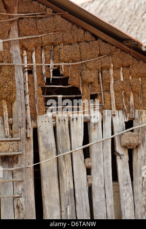 Hochbau. Nahaufnahme Detail das älteste erhaltene Gebäude (ca.. 1930) Karanambu Ranch. Guyana. Holz, Flechtwerk, Holz Stockfoto