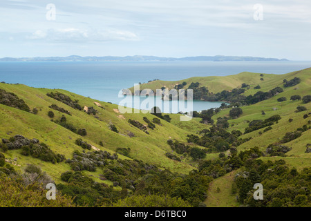 Ansicht von SH25 Coromandel, Neuseeland Stockfoto