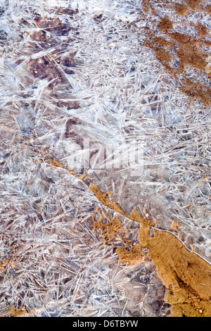 Eiskristalle unter dem gefrorenen Wasser im Frühlingsmorgen Stockfoto